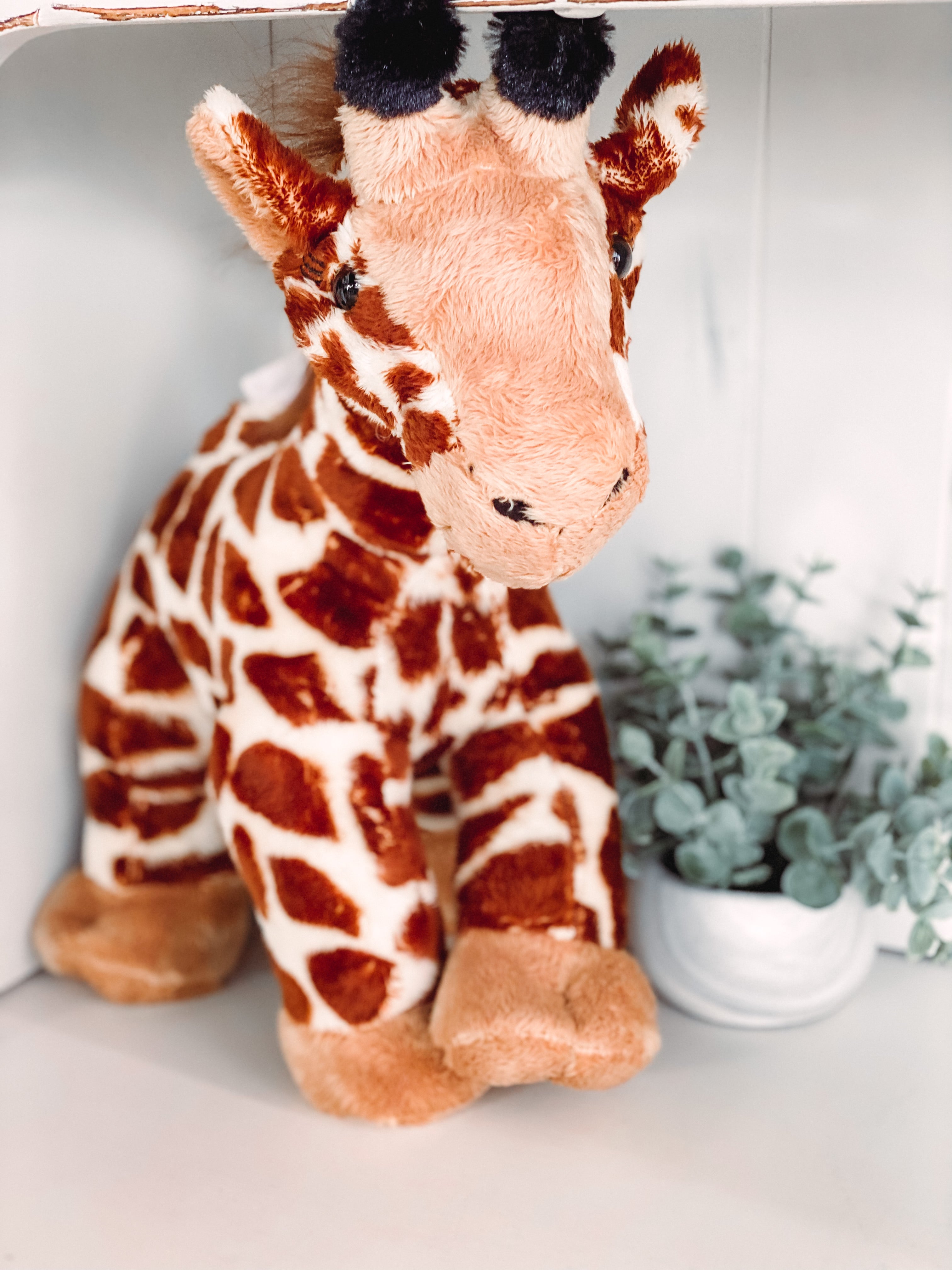 Jerry the giraffe (large)